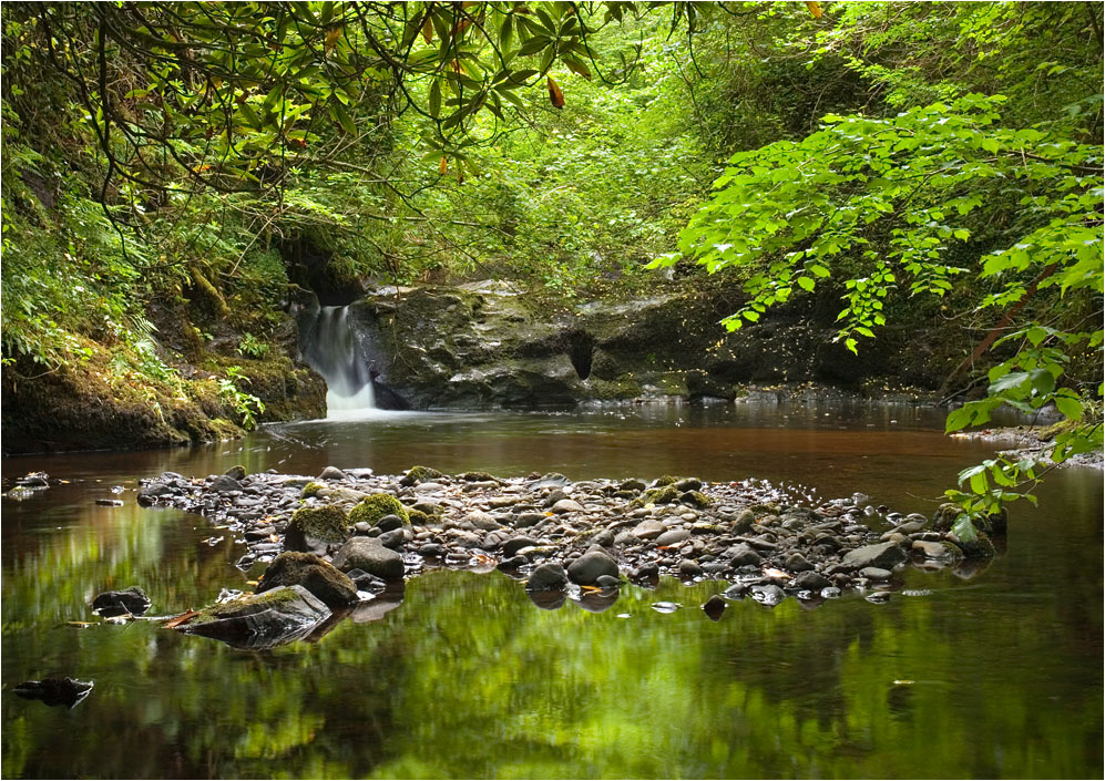 Glanariff Forest