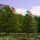  Glaner Heide (3D für rot/cyan Brille)