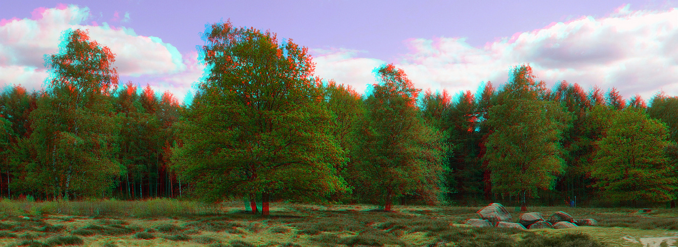  Glaner Heide (3D für rot/cyan Brille)