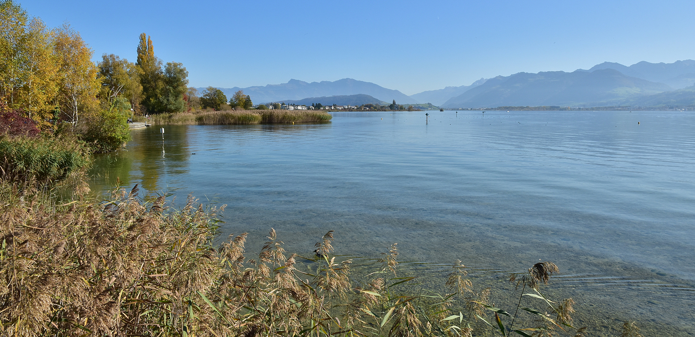 Glaneralpenblick