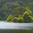 Glanmore Lake #3, Beara