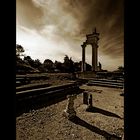 - glanum -