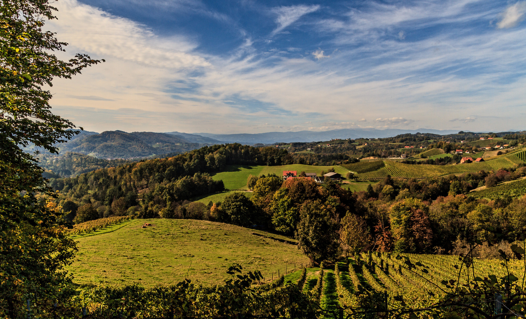 Glanz an der Weinstrasse /Steiermark Austria 1