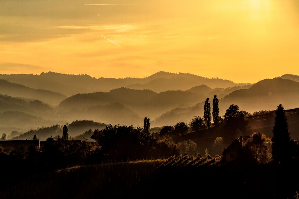 Glanz an der Weinstrasse /Steiermark Austria 3