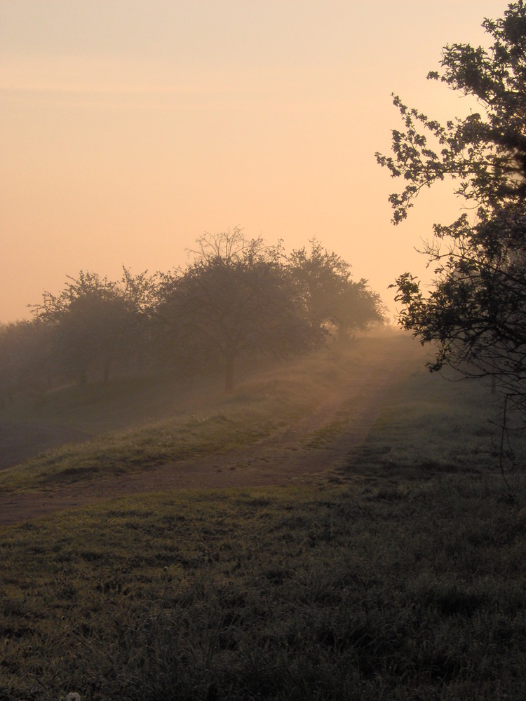 Glanz des Morgens auf Kloster Posa