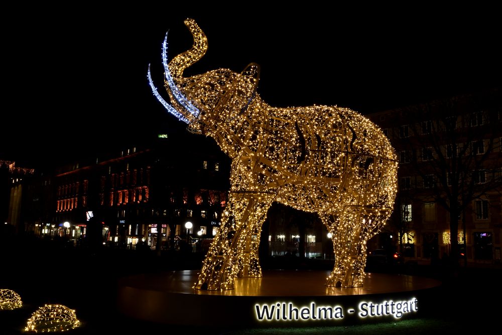 Glanzlichter 2020 Stuttgart Wilhelma