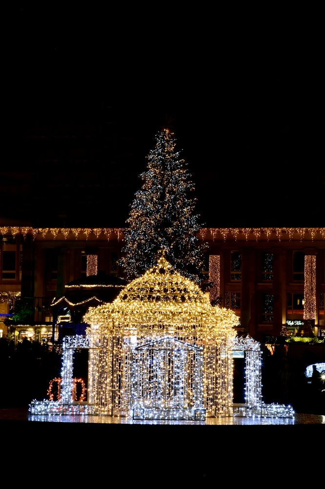 Glanzlichter Stuttgart "Königliche Momente"