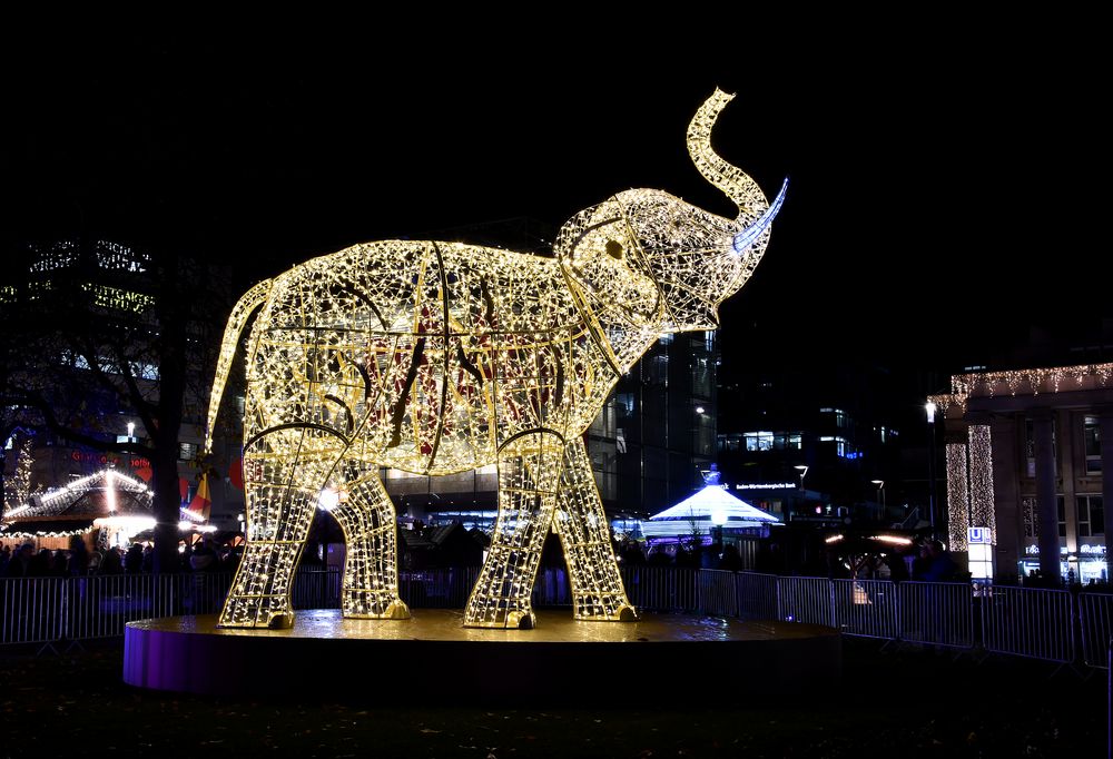 Glanzlichter Stuttgart "Wilhelma" 