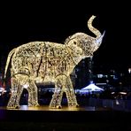 Glanzlichter Stuttgart "Wilhelma" 