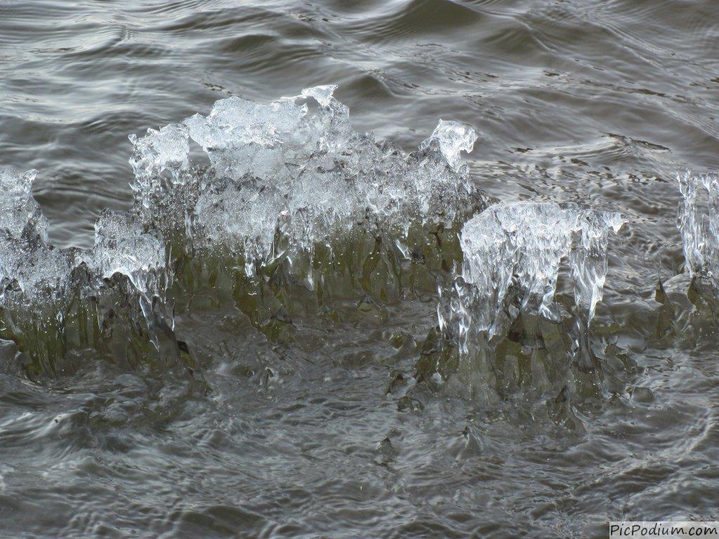 Glaçons dans l'eau