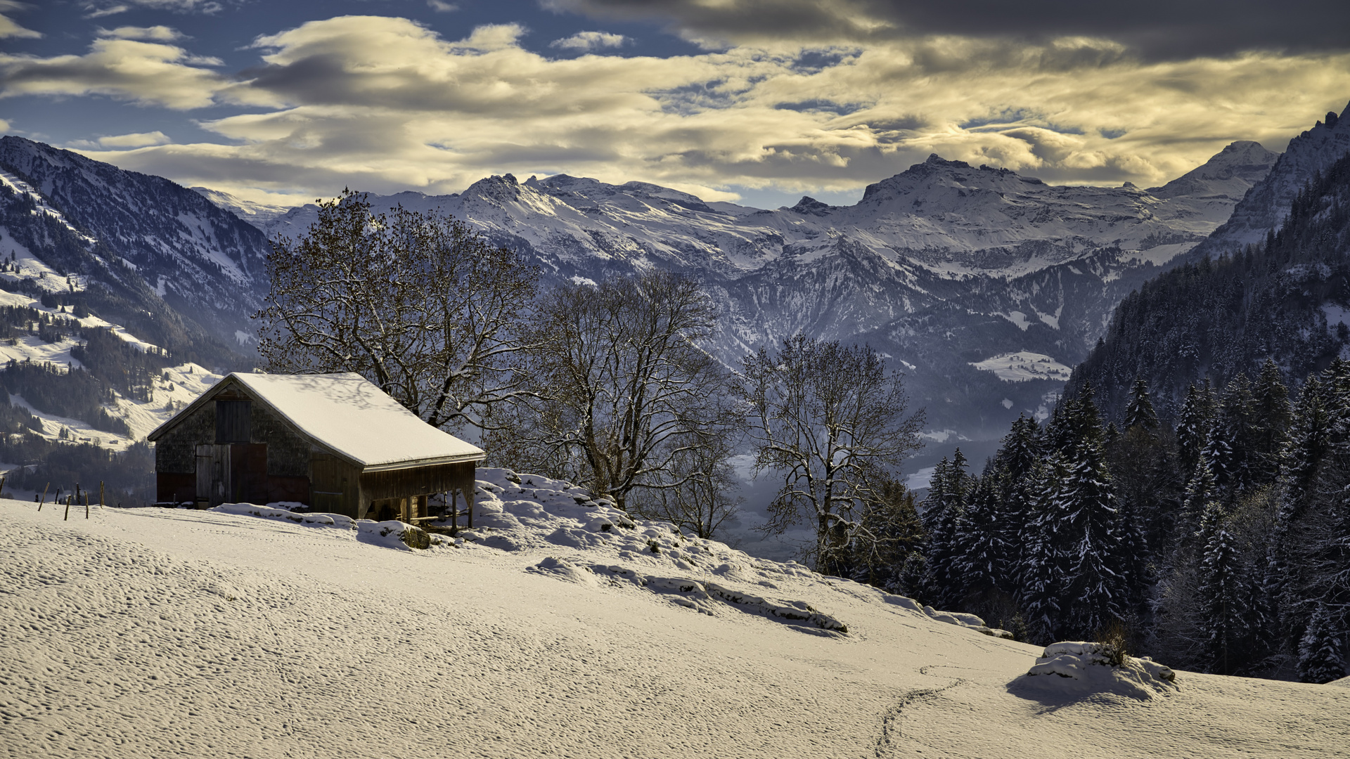 Glarner Alpen