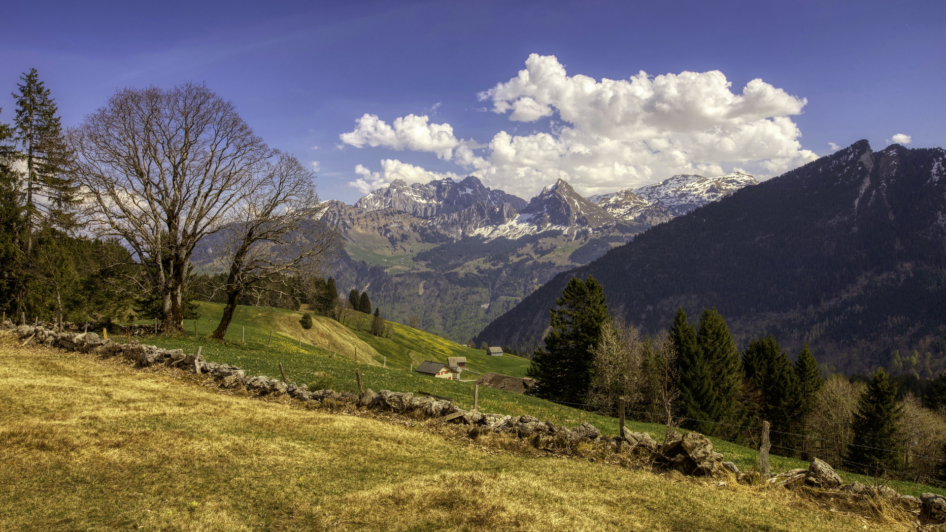 Glarnerberge