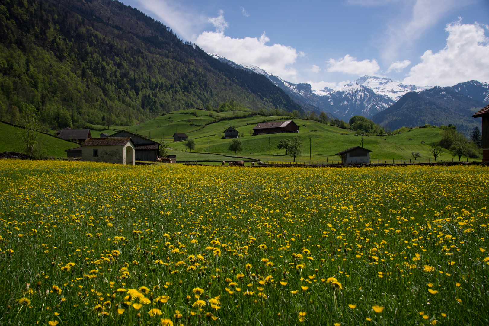 Glarnerland