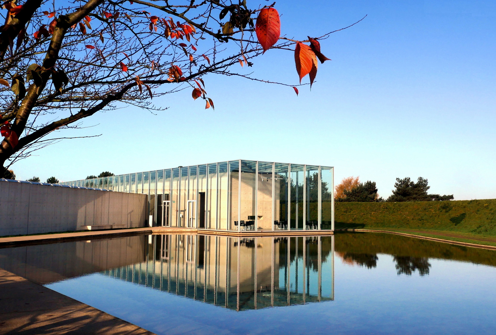 Glas l Beton l Herbst