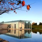 Glas l Beton l Herbst