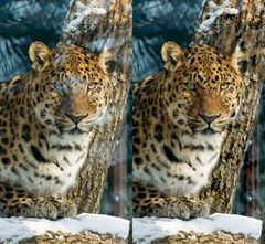 Intelligenter Polfilter In Photoshop Cs6 Fotografie Forum