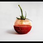 Glas Tomate