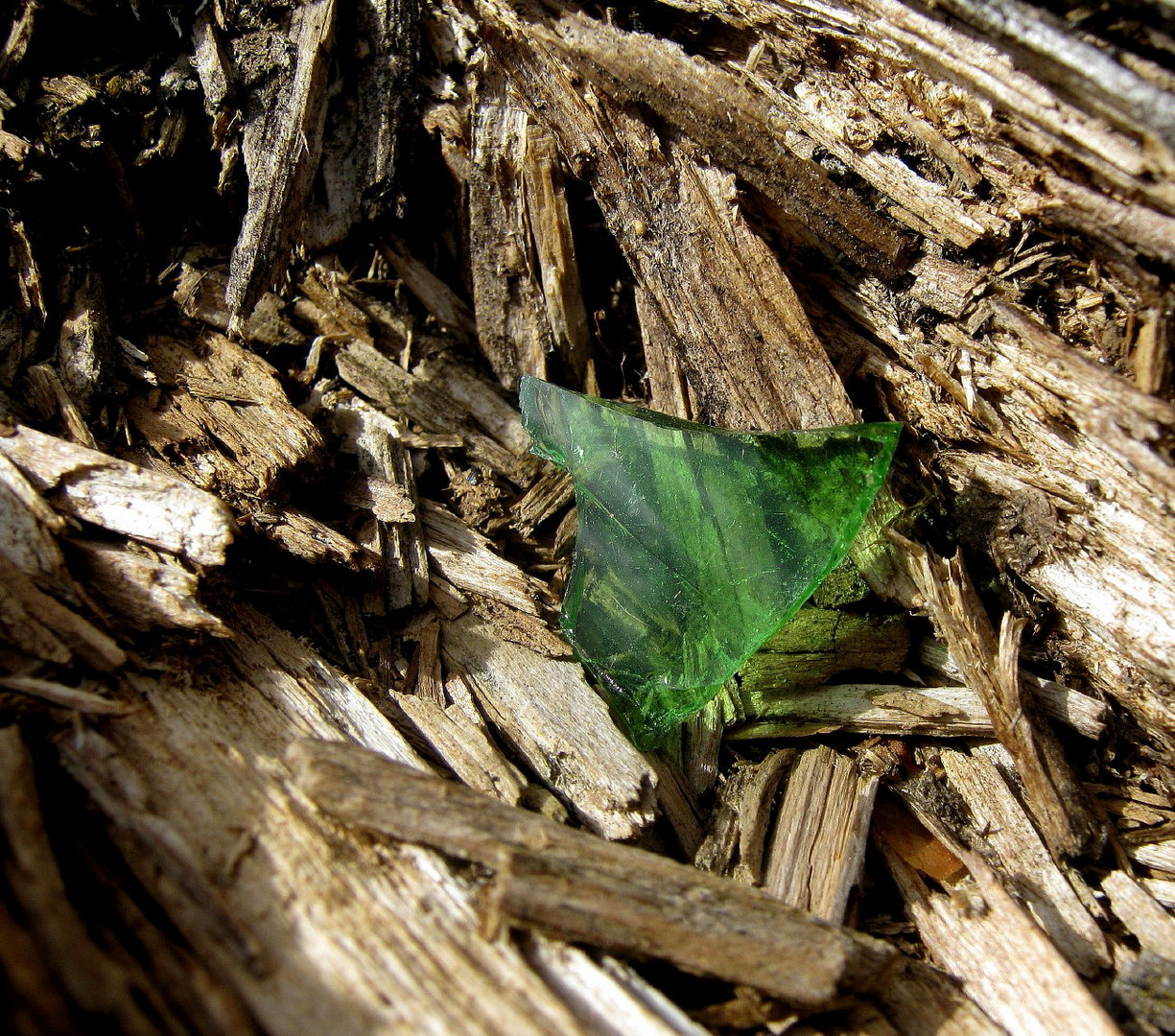 Glas und Holz...