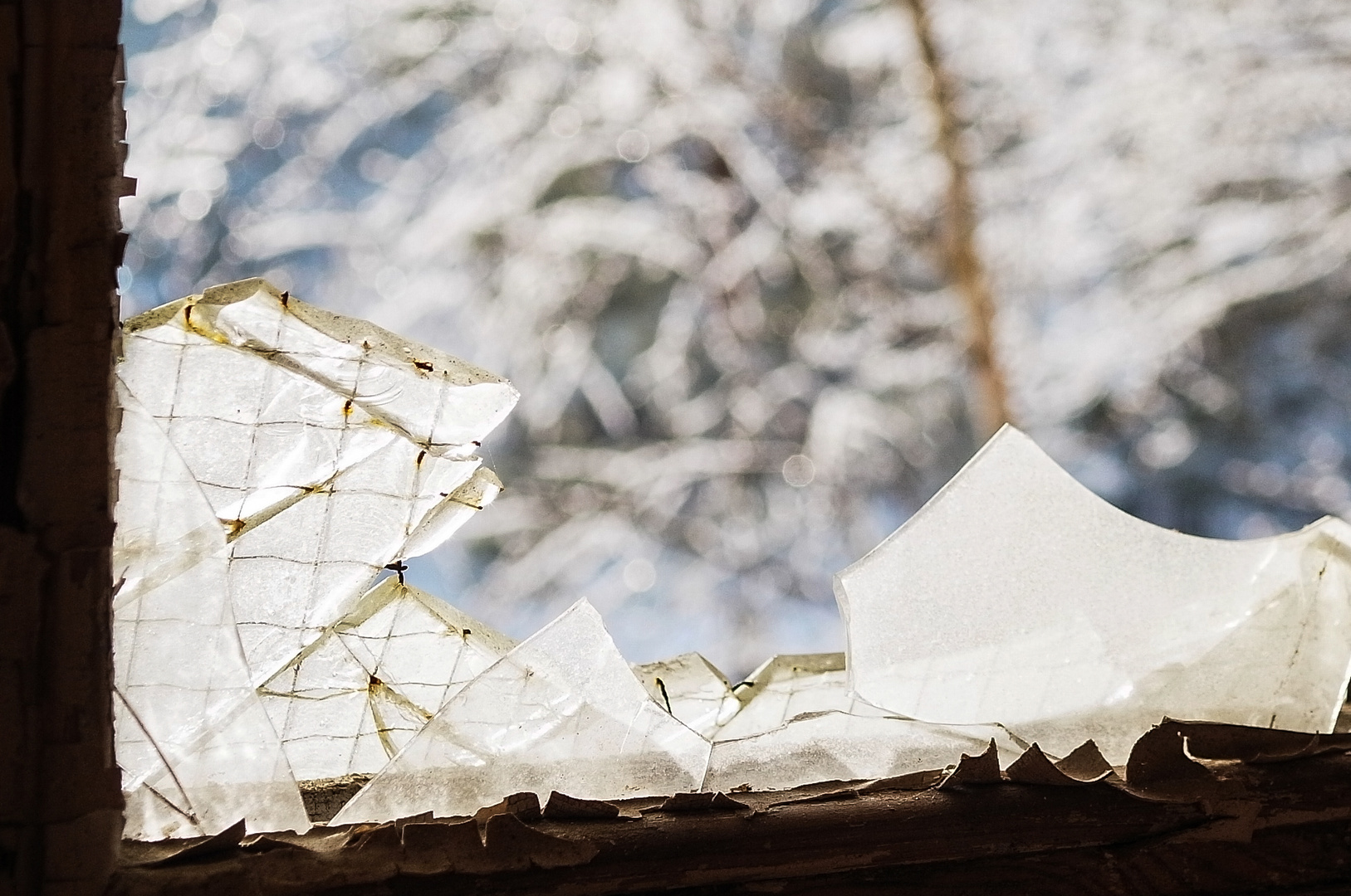 Glas und Schnee