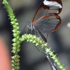 Glas von der Seite und von unten