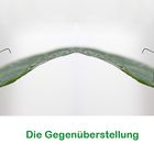 Glasflügler: die Gegenüberstellung.....