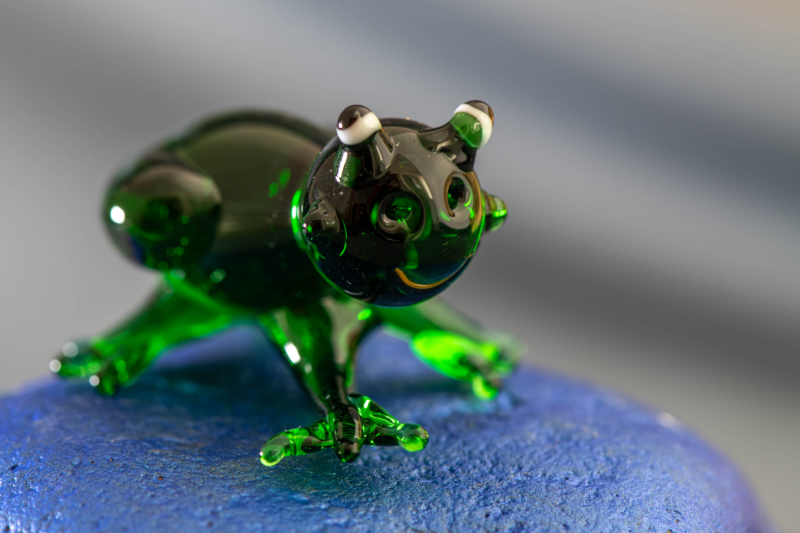 Glasfrosch Makro