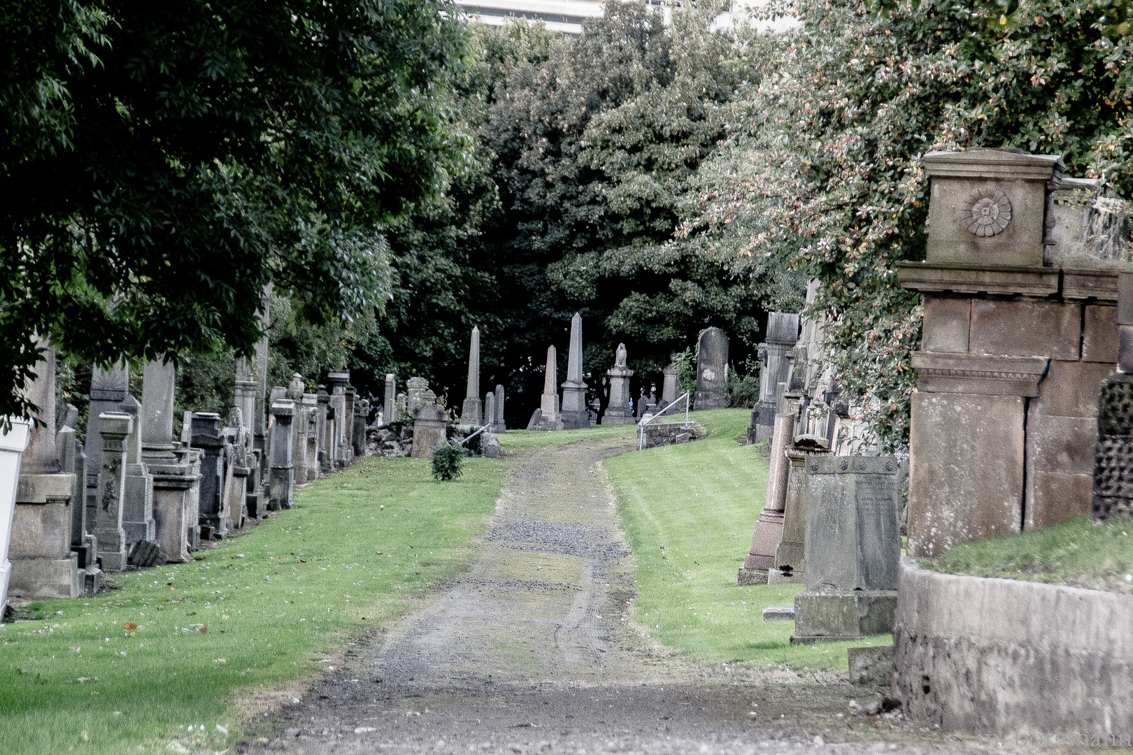 Glasgow Necropolis