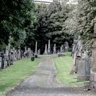 Glasgow Necropolis