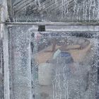 Glashaus-Impressionen
