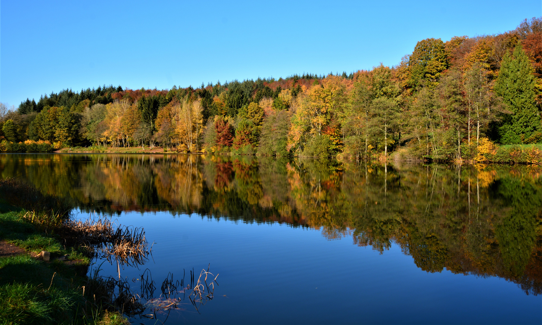 Glashütter Weiher Foto & Bild deutschland, europe, saarland Bilder