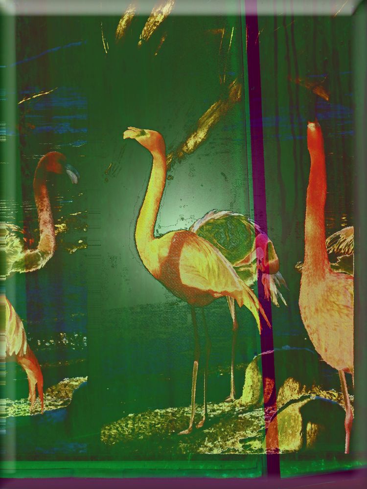 Glaskachel "Flamingos"