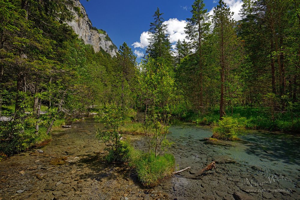 Glasklares Bergwasser