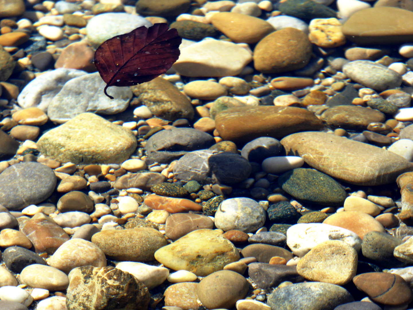 Glasklares Seewasser