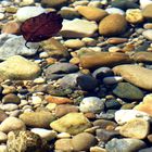 Glasklares Seewasser