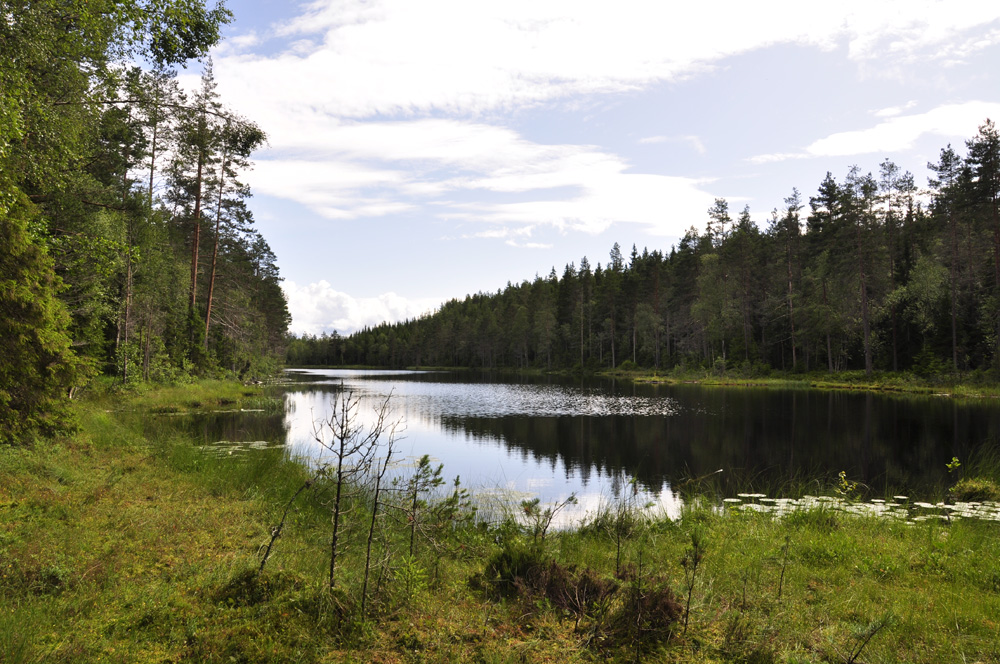 Glaskogen 3 Foto & Bild europe, scandinavia, sweden Bilder auf