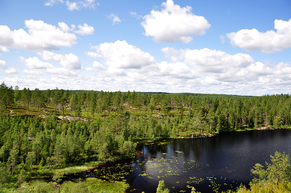 Glaskogen Naturreservat