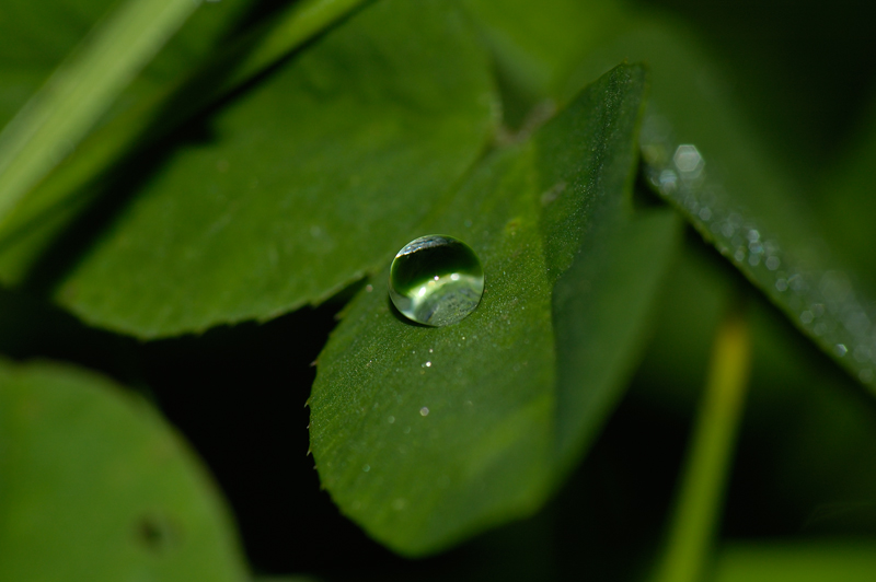 Glaskugel aus Wasser