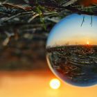 Glaskugel beim Sonnenaufgang