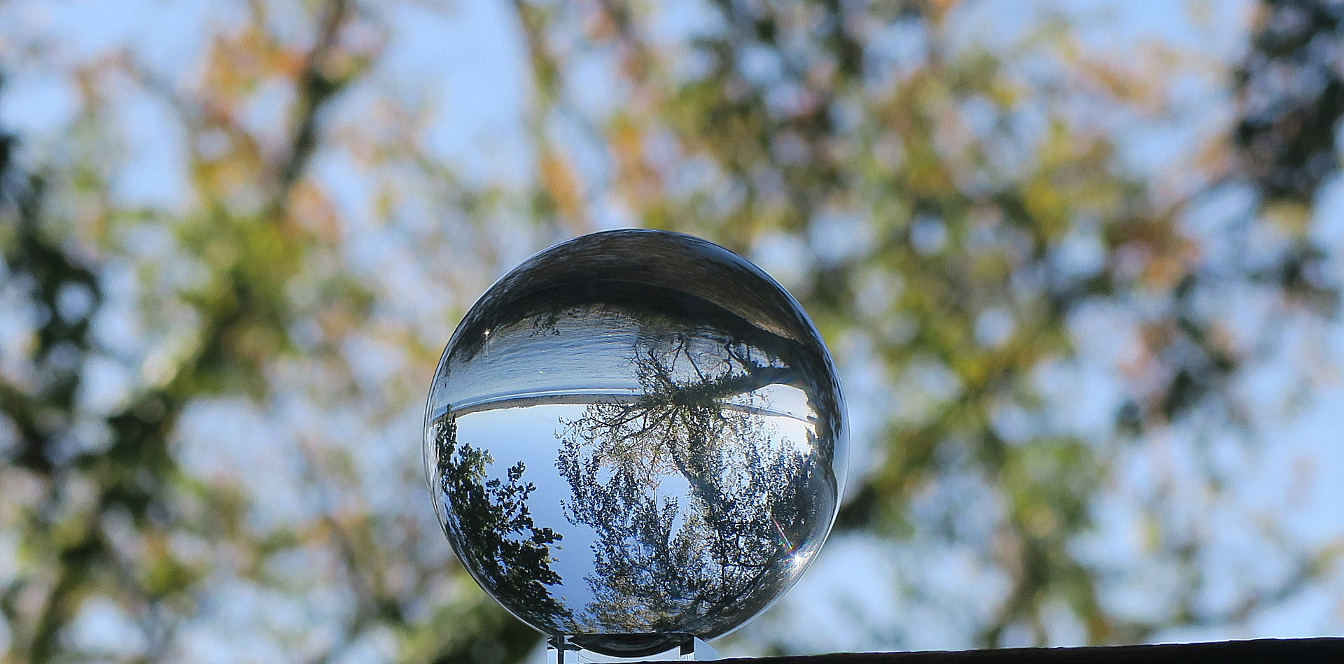 Glaskugel im Grünen