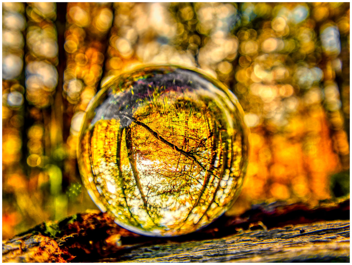 Glaskugel im Herbstwald