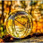 Glaskugel im Herbstwald