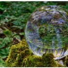 Glaskugel im Wald