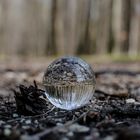 Glaskugel im Wald