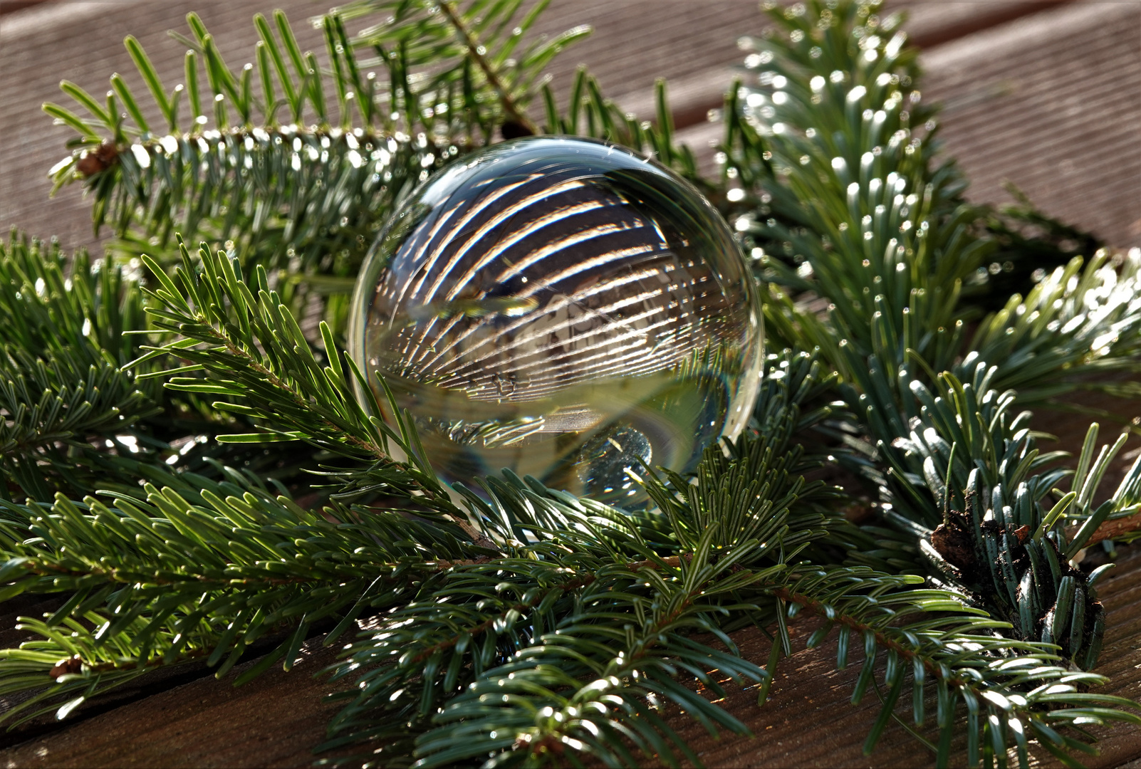 Glaskugel im Weihnachtsgrün