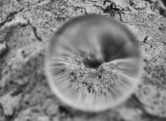 Glaskugel-Impressionen von der Insel Poel .