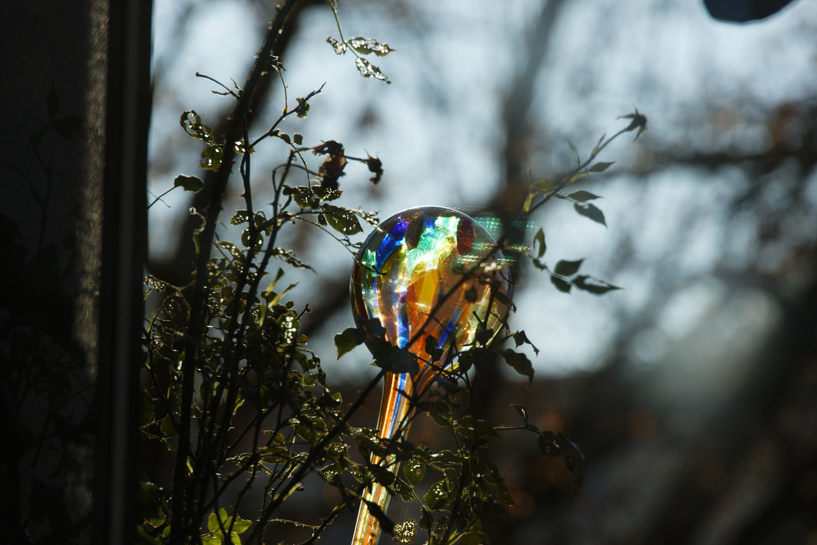 Glaskugel in der Sonne