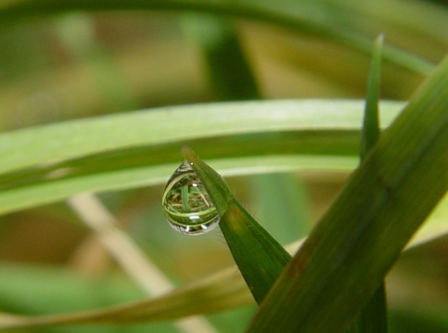 Glaskugel ? oder doch nur Wasser........