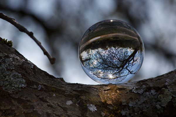 Glaskugelfotografie | 3 |