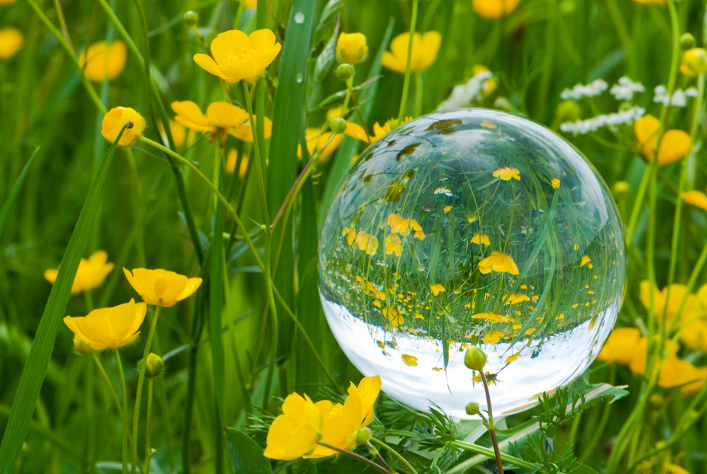 Glaskugelfrühling