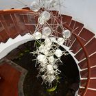 Glas/Metall-Skulptur von Cesar Menrique im Jardin de Cactus auf Lanzarote